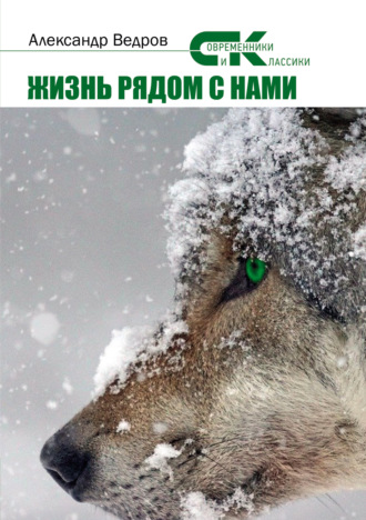 . Жизнь рядом с нами
