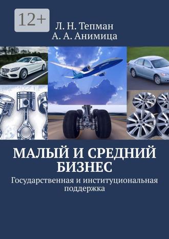 . Малый и средний бизнес. Государственная и институциональная поддержка