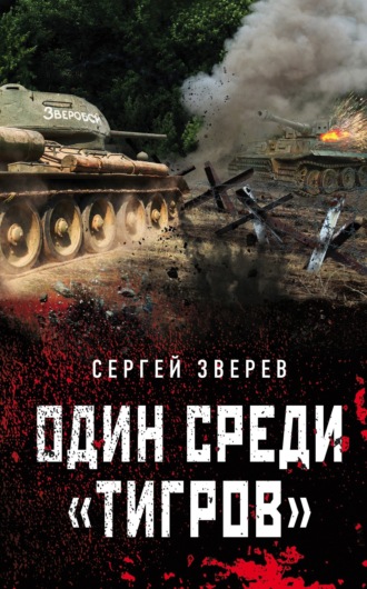 Сергей Зверев. Один среди «тигров»