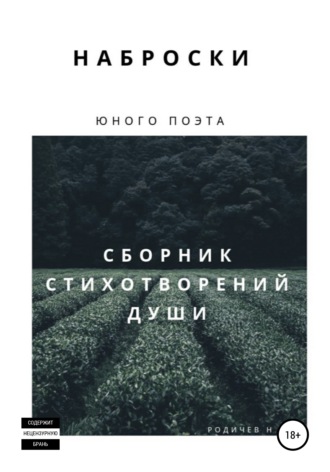 . Наброски юного поэта, или Сборник стихотворений души