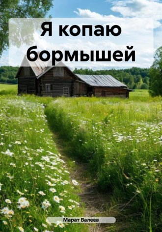 Марат Хасанович Валеев. Я копаю бормышей