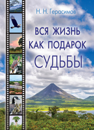 . Вся жизнь как подарок судьбы