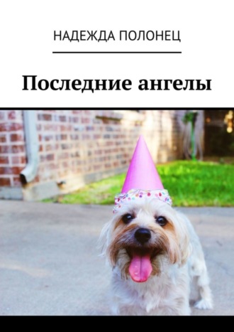 Надежда Полонец. Последние ангелы
