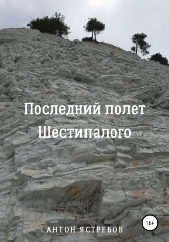 Антон Васильевич Ястребов. Последний полет Шестипалого