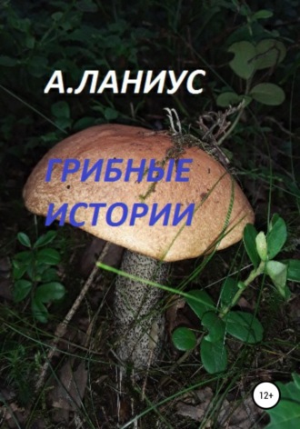 . Грибные истории