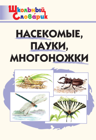 . Насекомые, пауки, многоножки. Начальная школа