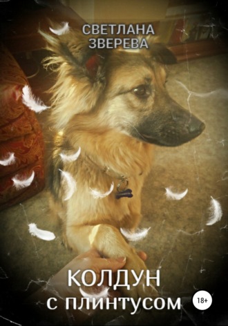. Колдун с плинтусом