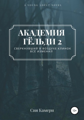 . Академия Гёльди 2