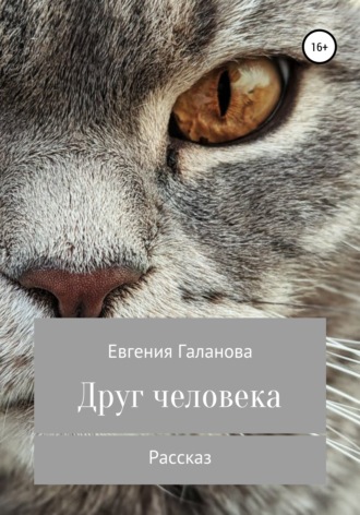 . Друг человека