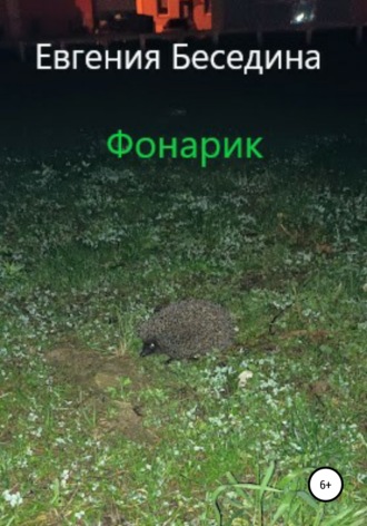 Евгения Беседина. Фонарик