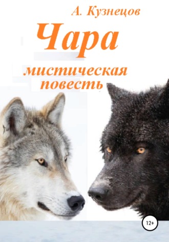 Александр Николаевич Кузнецов. Чара
