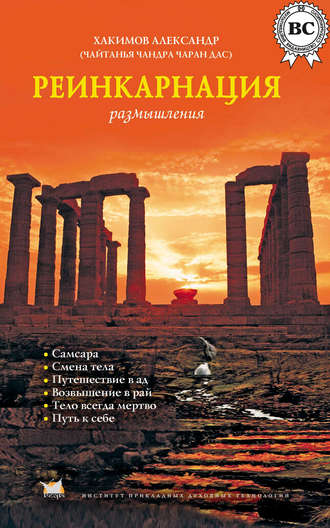 . Реинкарнация. Размышления