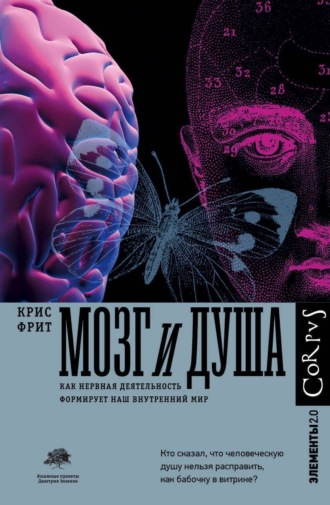. Мозг и душа. Как нервная деятельность формирует наш внутренний мир