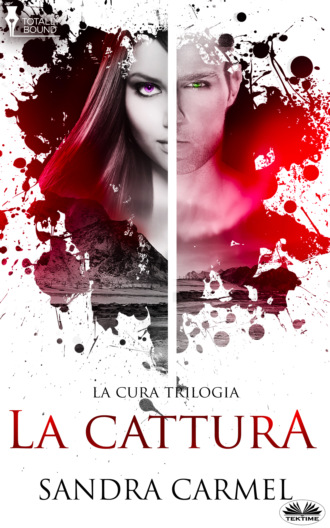 Sandra Carmel. La Cattura