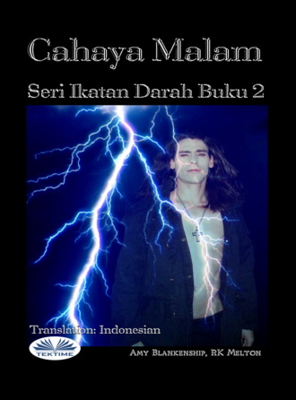 . Cahaya Malam (Ikatan Darah Buku 2)