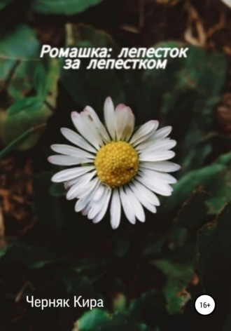 Кира Андреевна Черняк. Ромашка: лепесток за лепестком