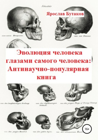 . Эволюция человека глазами самого человека: Антинаучно-популярная книга