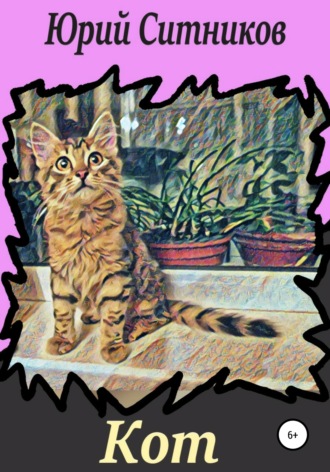 . Кот