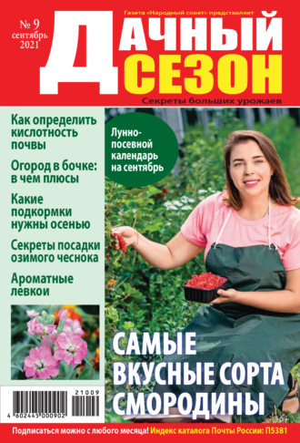 . Дачный сезон №09/2021
