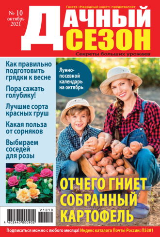 . Дачный сезон №10/2021