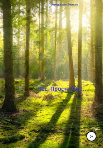 . Лес. Просто Лес…
