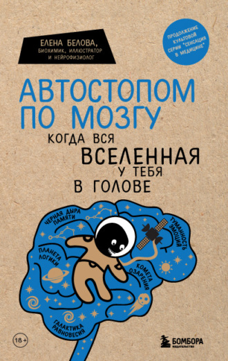 . Автостопом по мозгу. Когда вся вселенная у тебя в голове