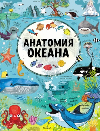 . Анатомия океана
