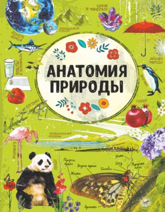 Е. О. Хомич. Анатомия природы