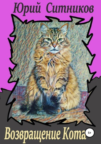 . Возвращение Кота