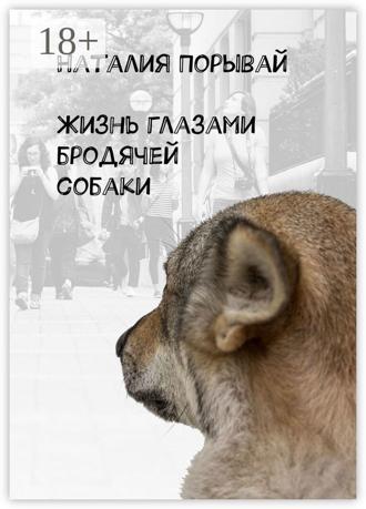 . Жизнь глазами бродячей собаки