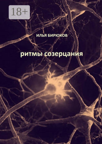 Илья Бирюков. Ритмы созерцания