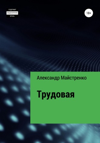 Александр Анатольевич Майстренко. Трудовая