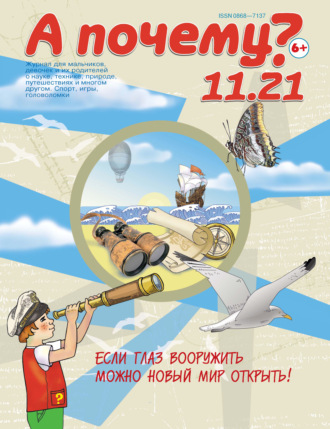 . А почему? №11/2021