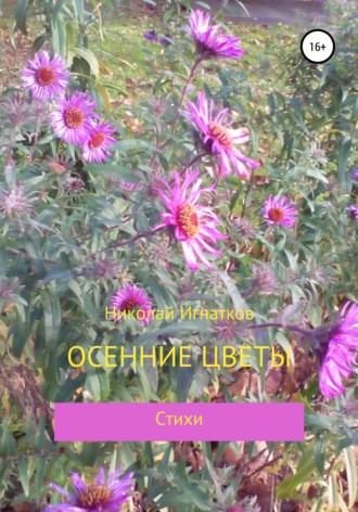 Николай Игнатков. Осенние цветы