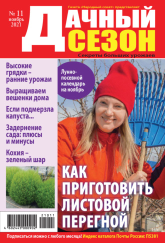 . Дачный сезон №11/2021