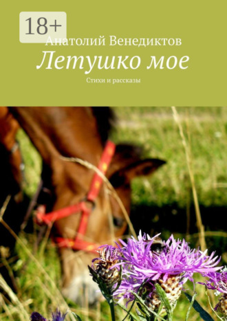 . Летушко мое. Стихи и рассказы