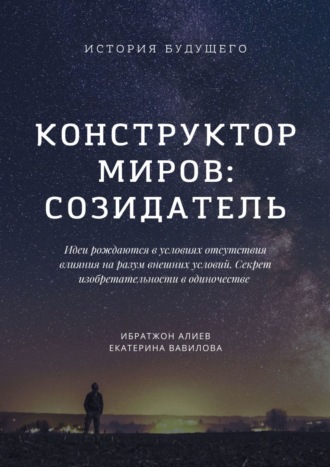 . Конструктор миров: Созидатель. Том 2