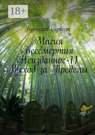 Бурислав Сервест. Магия бессмертия. Неизданное-11. Выход за пределы