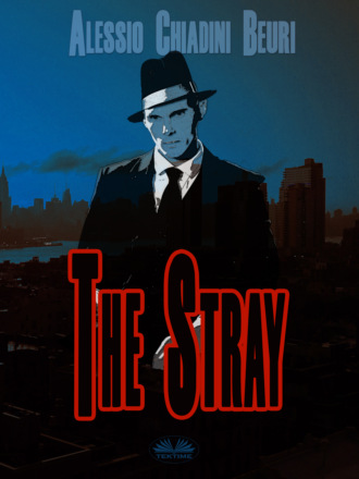 . The Stray