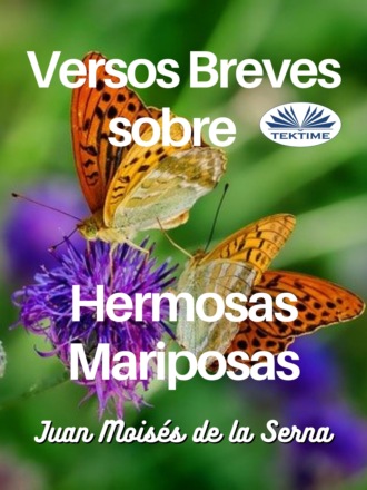 . Versos Breves Sobre Hermosas Mariposas