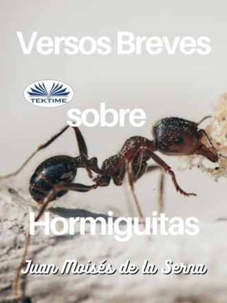 . Versos Breves Sobre Hormiguitas