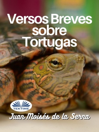 . Versos Breves Sobre Tortugas