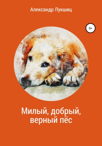 . Милый, добрый, верный пёс