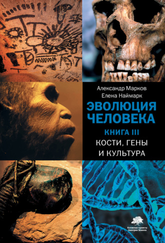 Александр Марков. Кости, гены и культура