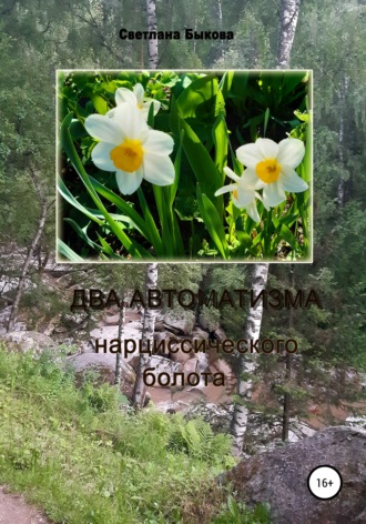 Светлана Викторовна Быкова. Два автоматизма нарциссического болота