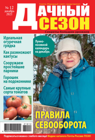 . Дачный сезон №12/2021
