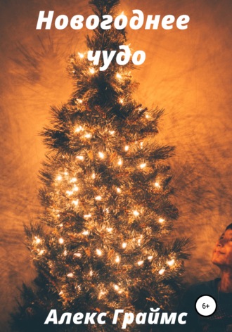 . Новогоднее чудо