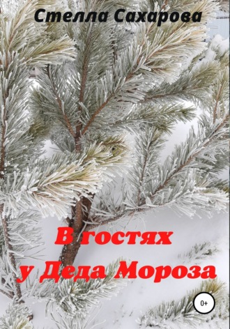 . В гостях у Деда Мороза