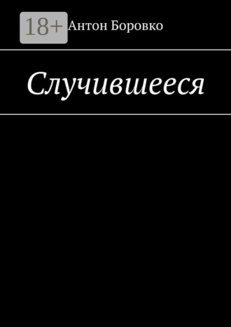 Антон Боровко. Случившееся