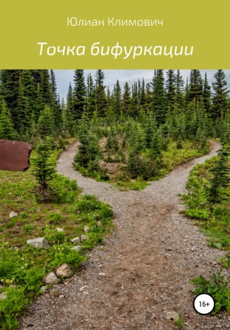 Юлиан Климович. Точка бифуркации